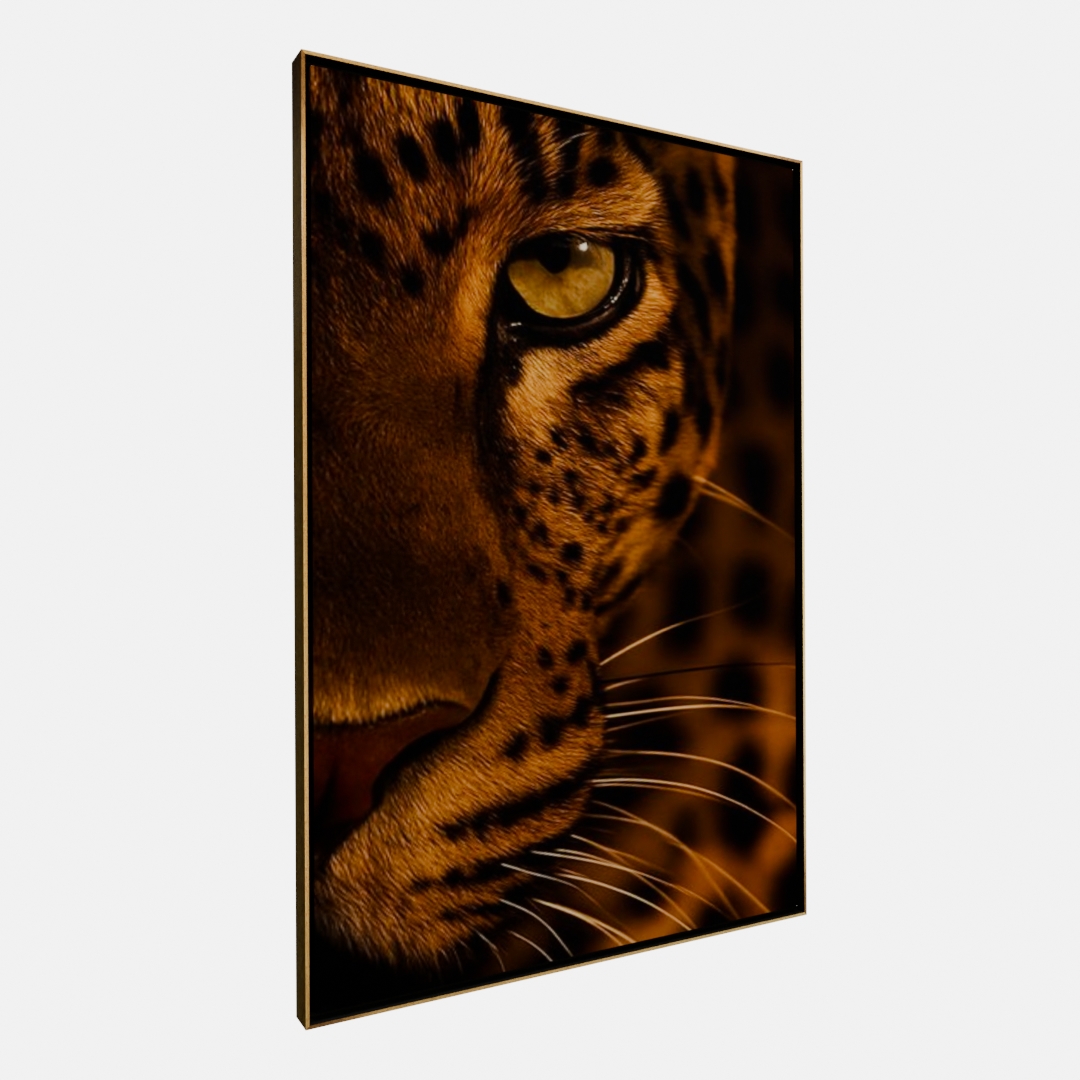 QUADRO OLHAR DA ONÇA