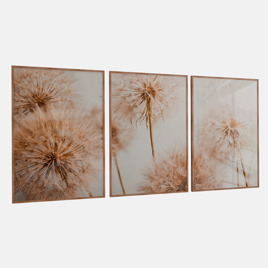 KIT 3 QUADROS  TRIO FLYING SEED PLANT