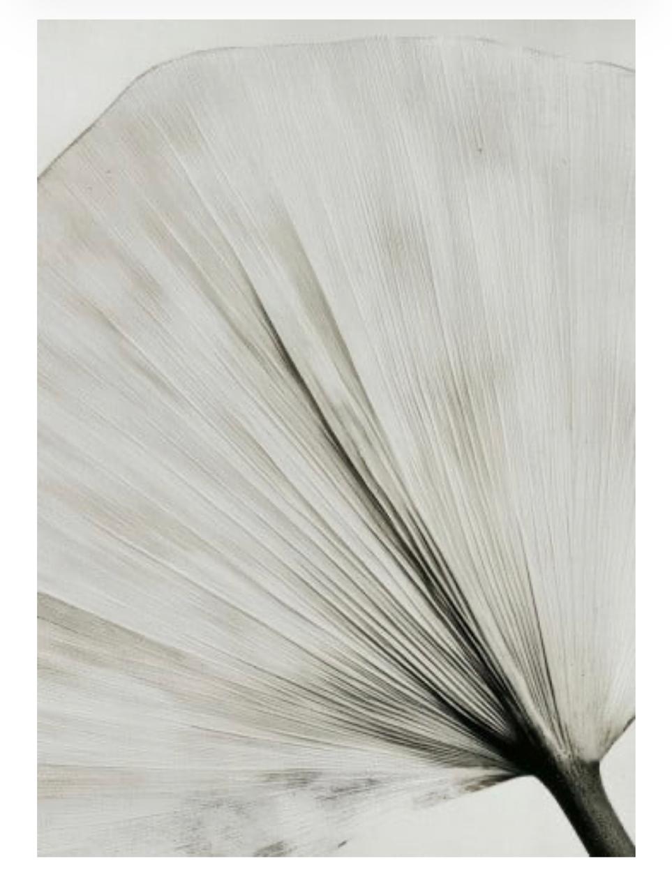 Quadro Personalizado -Casa Mais- Folha-Moldura Dourada - 120x80 cm