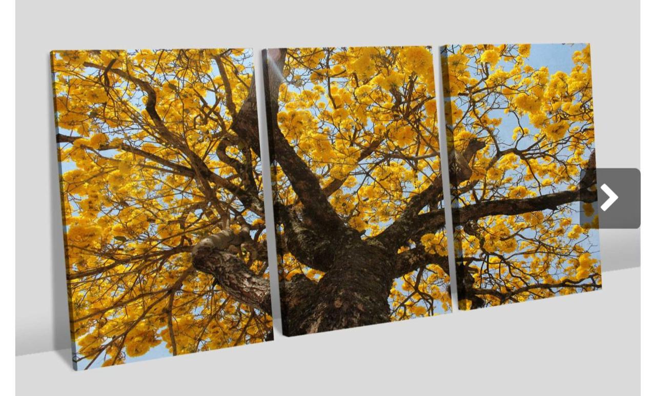 Quadro Personalizado -Keith- Trio Ipe-Moldura Preta- 3x75x50 