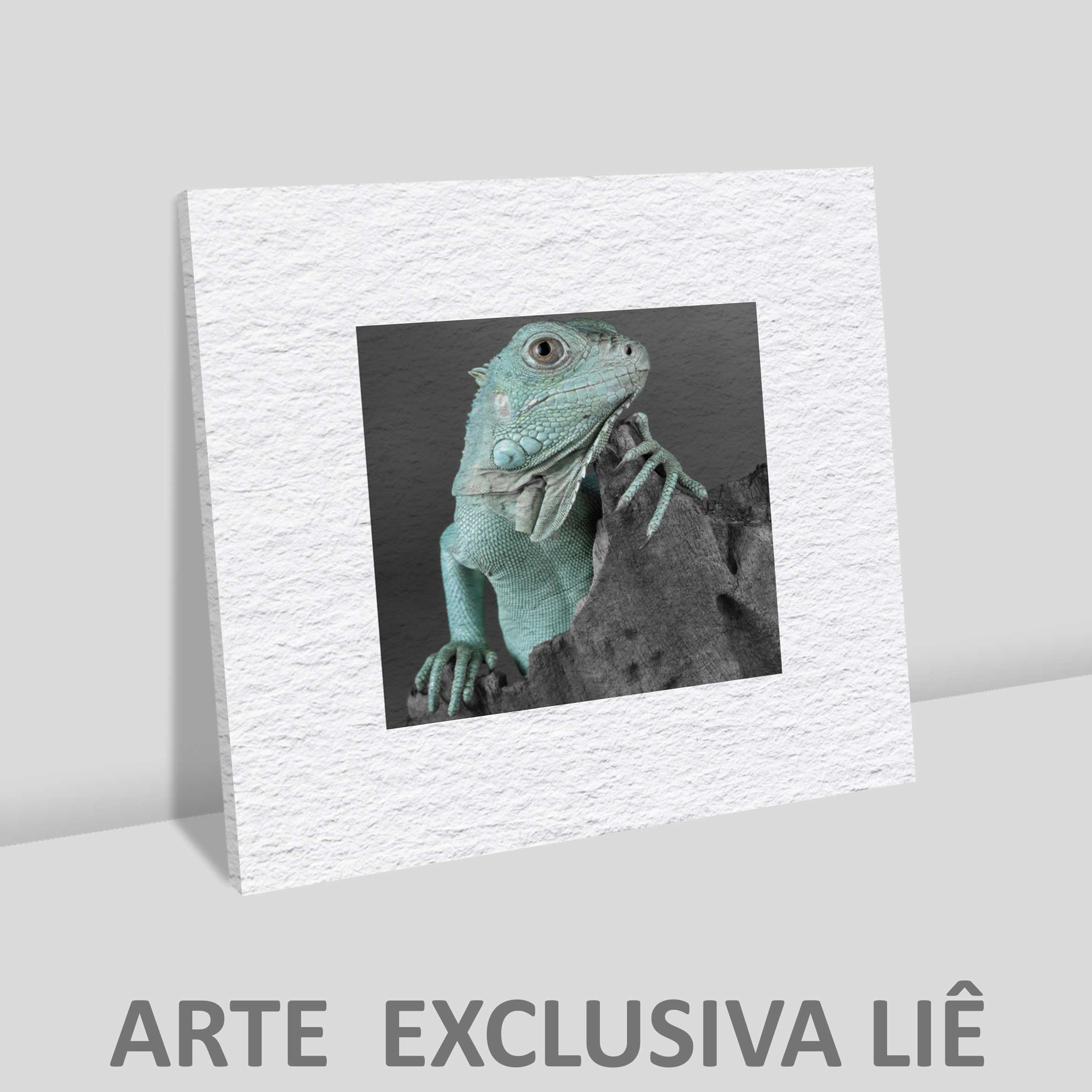 Quadro quadrado - Iguana em Close