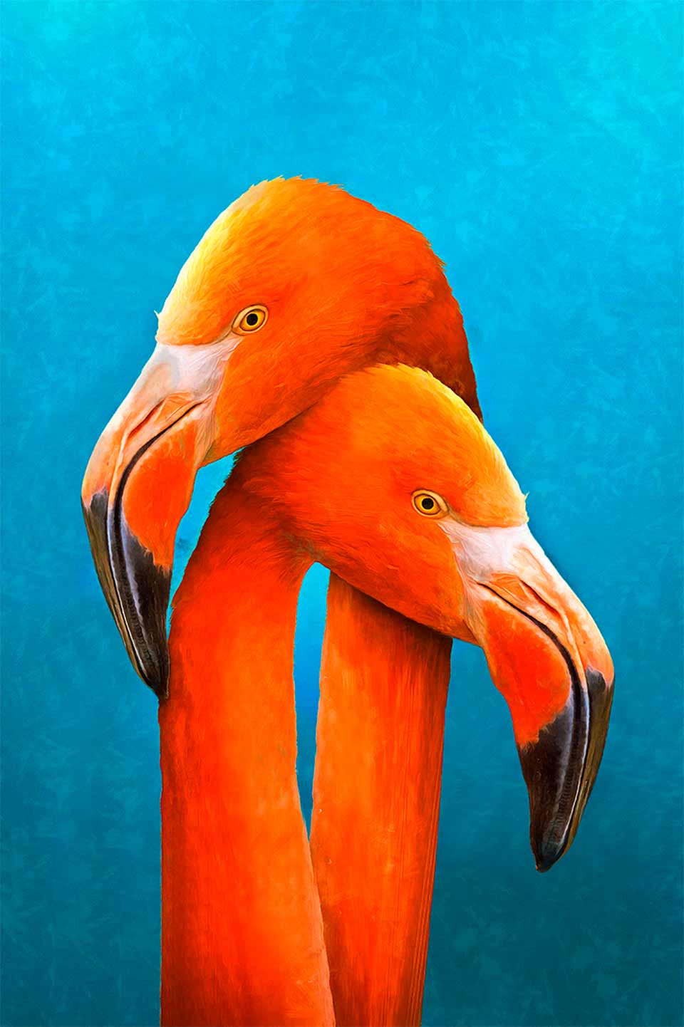 Quadro Retangular - Flamingos