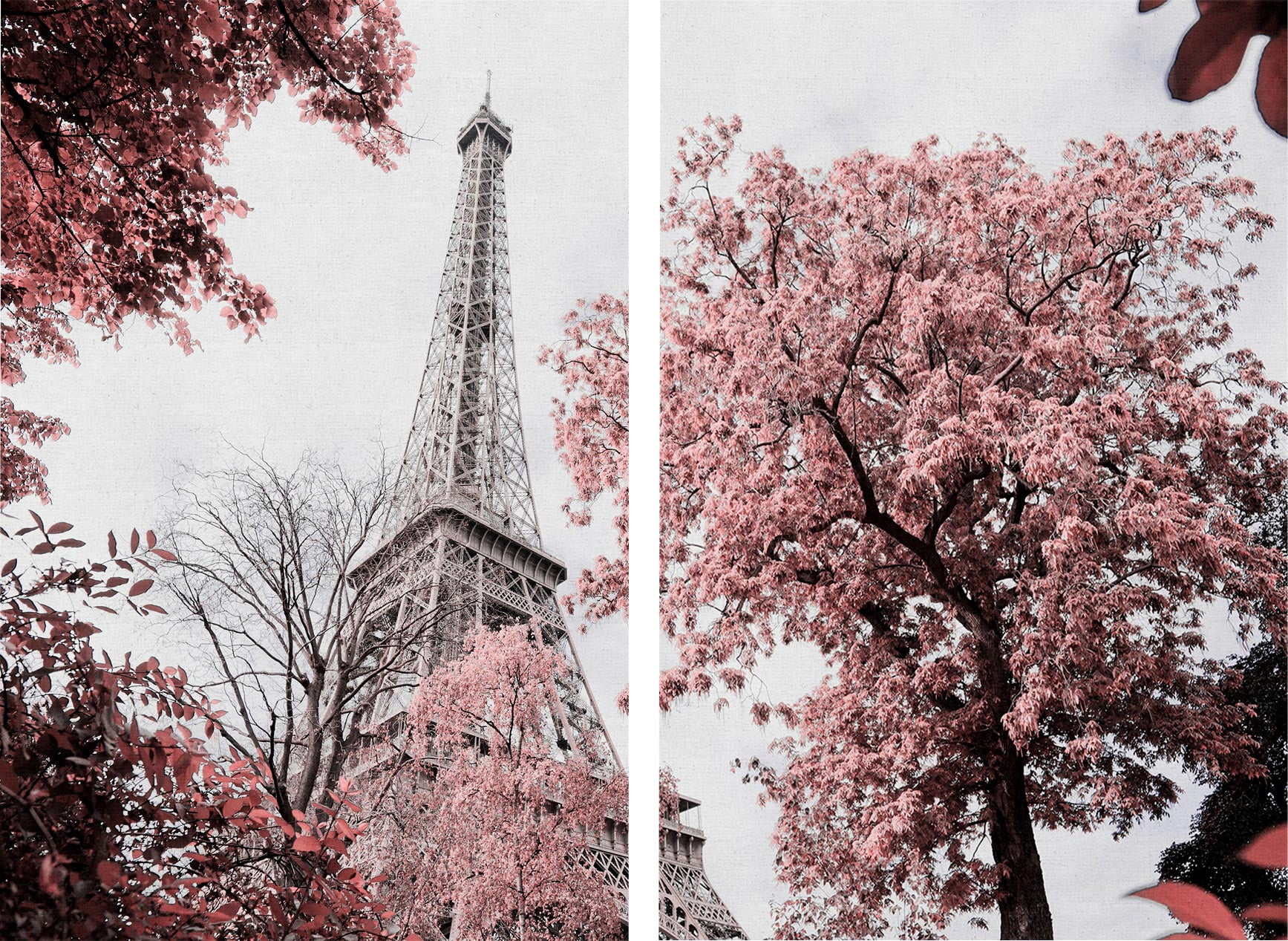 Kit 2 quadros retangulares - Torre Eiffel e folhas coloridas