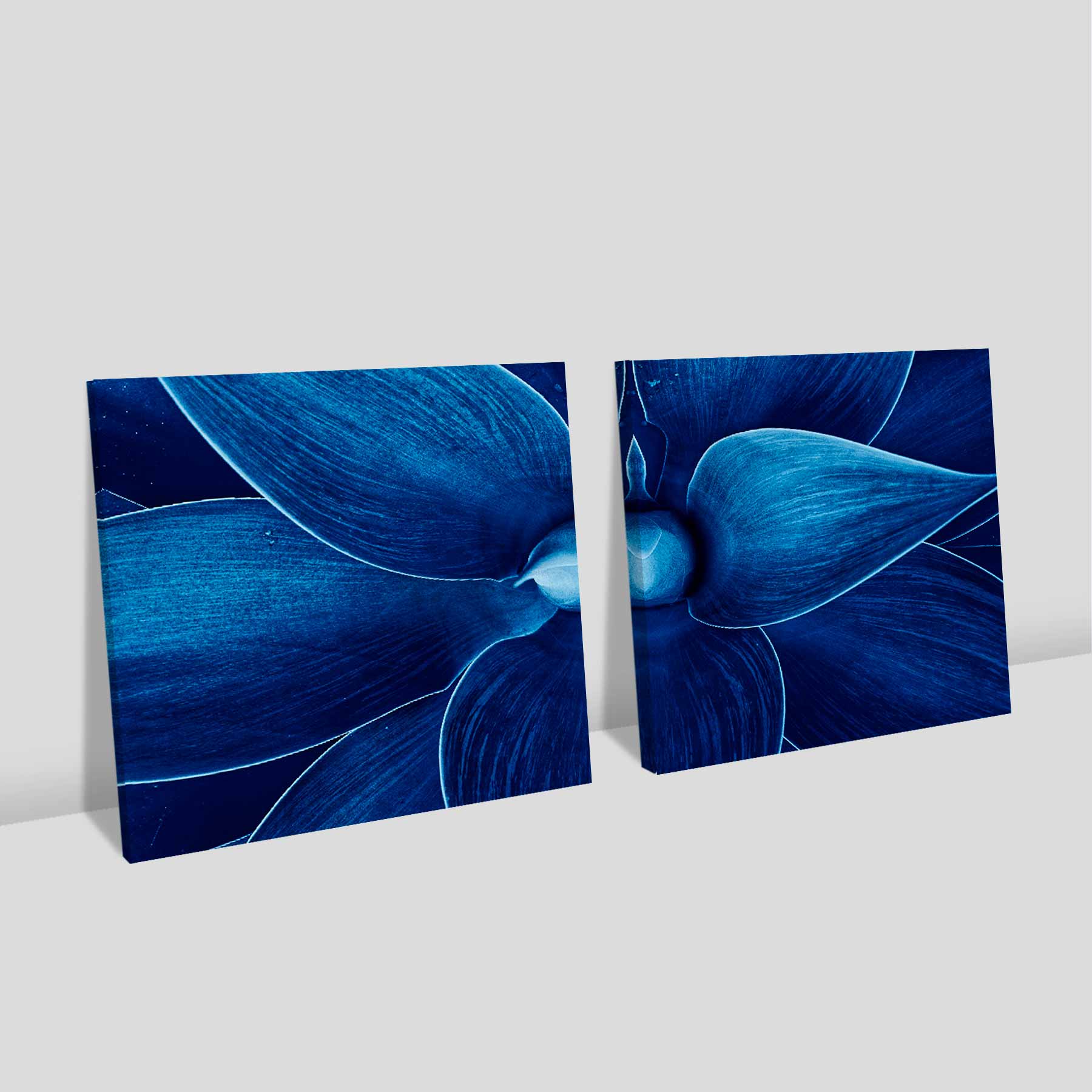 Kit 2 quadros quadrados - Detalhes da flor azul 