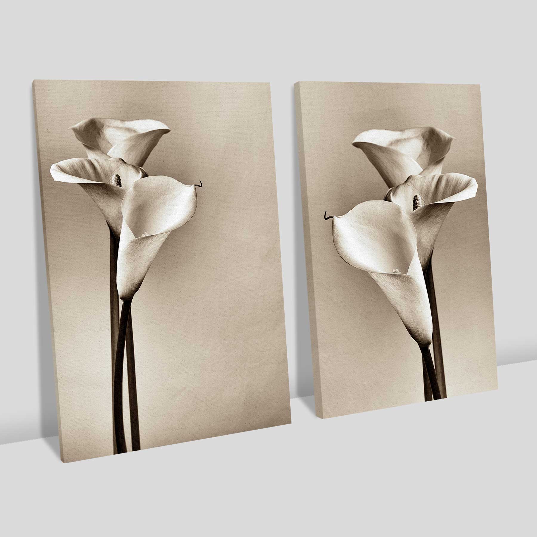 Kit 2 quadros retangulares - Duo copos-de-leite em preto e branco (pintura)