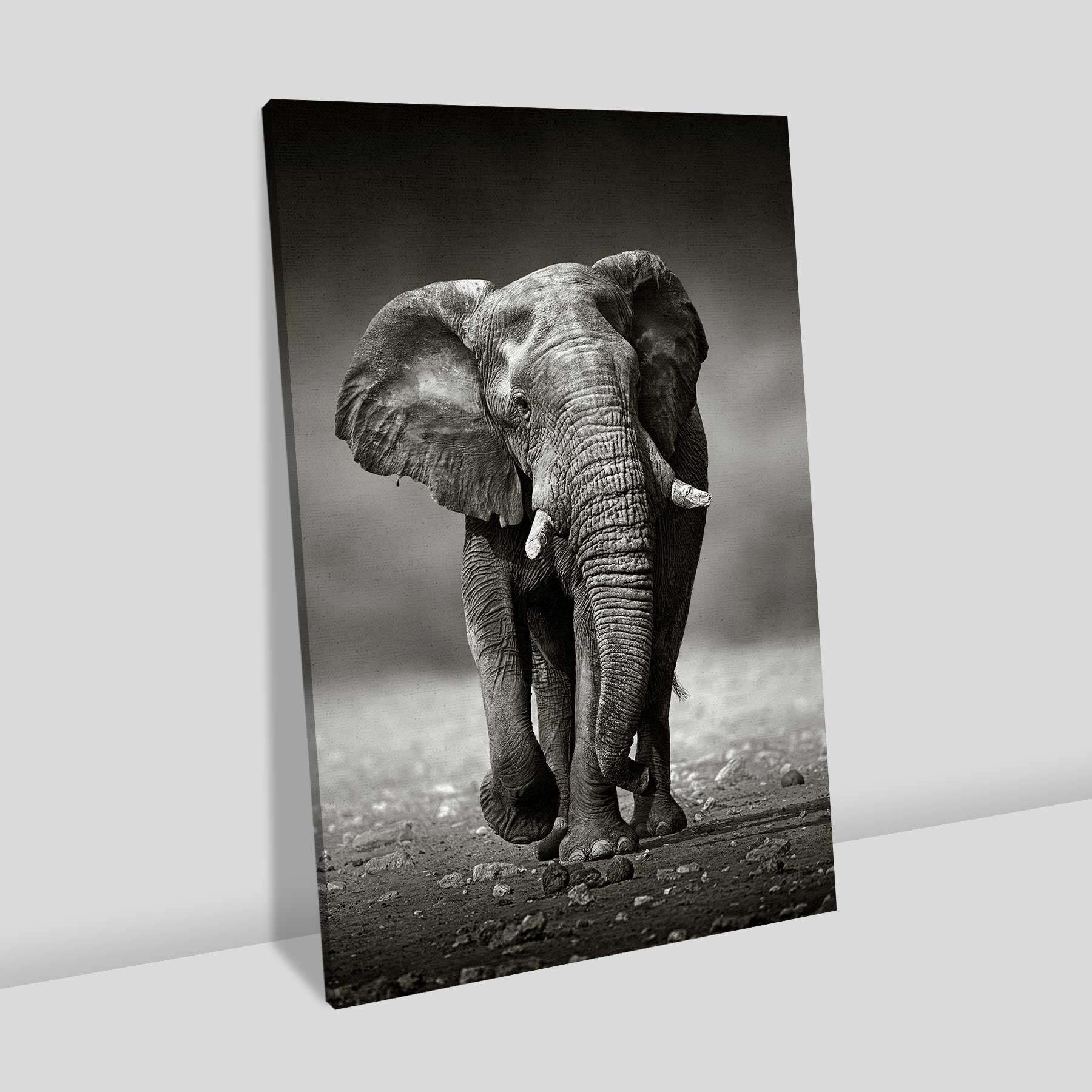 Quadro Retangular  - Elefante Preto e Branco