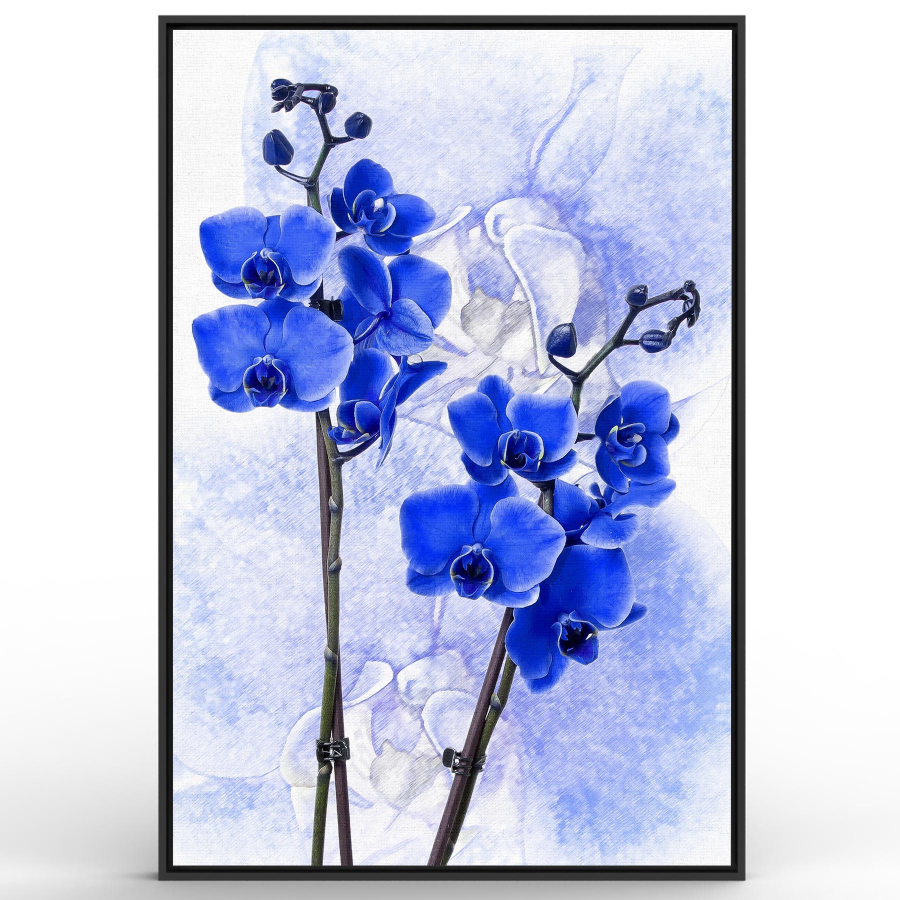 Quadro Retangular - Orquídeas azuis no fundo azul - Liê Decor