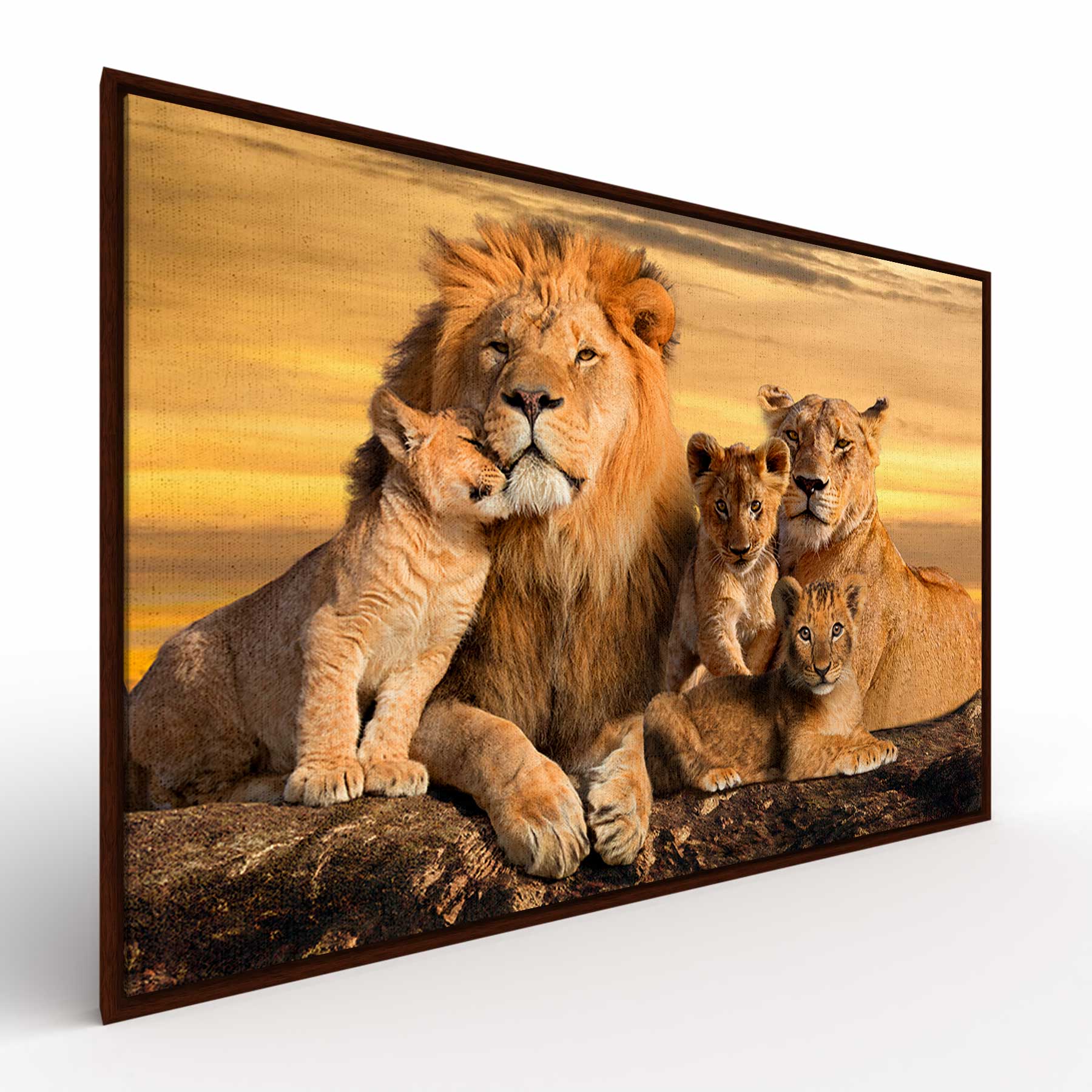 Quadro Retangular - Família de Leões com 3 filhotes - Liê Decor