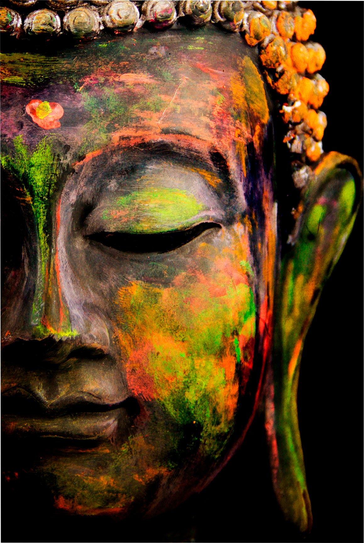 Quadro Retangular - A face de Buda colorida