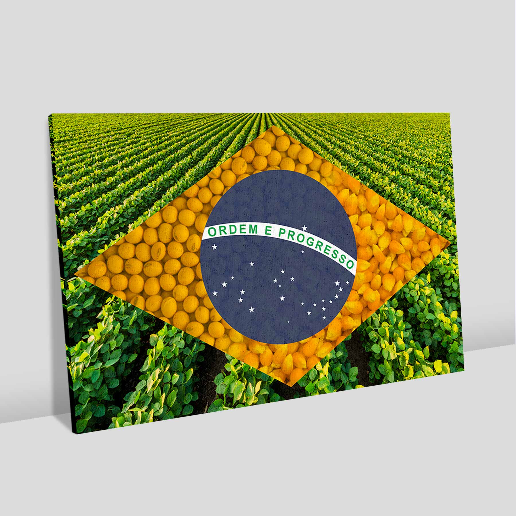 Quadro Retangular  - Bandeira Agro 