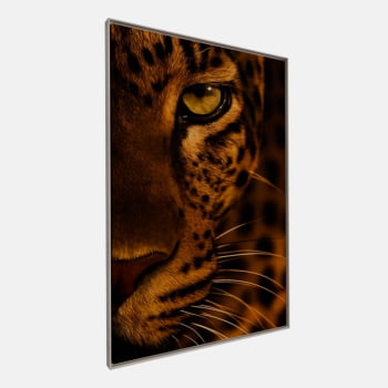 QUADRO OLHAR DA ONÇA