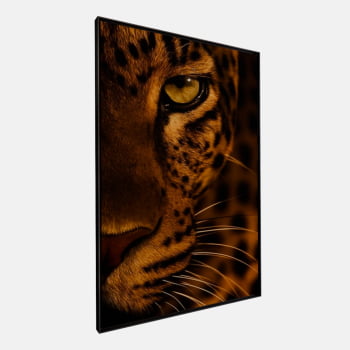 QUADRO OLHAR DA ONÇA