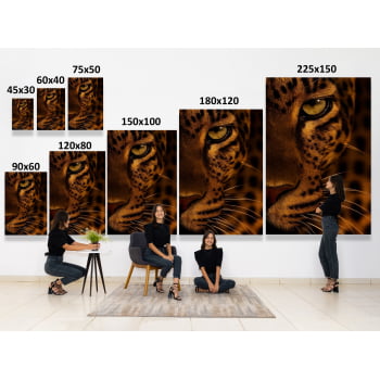 QUADRO OLHAR DA ONÇA