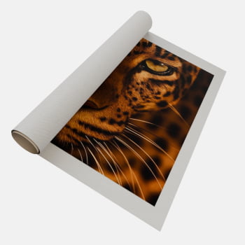 QUADRO OLHAR DA ONÇA