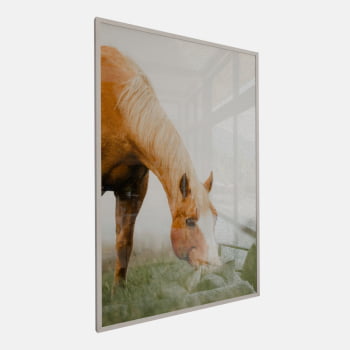QUADRO PASTAGEM SERENA