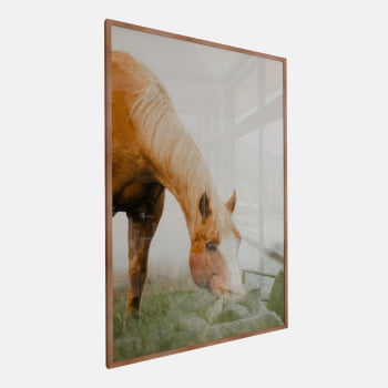 QUADRO PASTAGEM SERENA