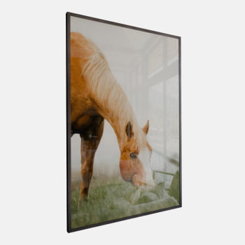 QUADRO PASTAGEM SERENA