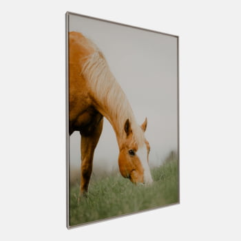 QUADRO PASTAGEM SERENA