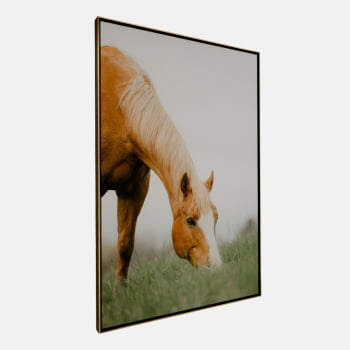 QUADRO PASTAGEM SERENA QUADRO PASTAGEM SERENA