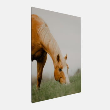 QUADRO PASTAGEM SERENA