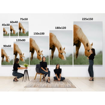 QUADRO PASTAGEM SERENA