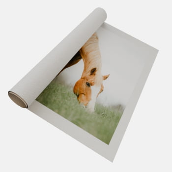 QUADRO PASTAGEM SERENA