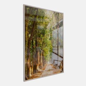 QUADRO CAMINHO ILUMINADO NA FLORESTA