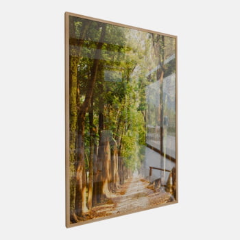 QUADRO CAMINHO ILUMINADO NA FLORESTA