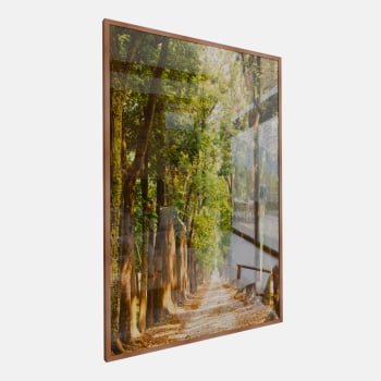 QUADRO CAMINHO ILUMINADO NA FLORESTA