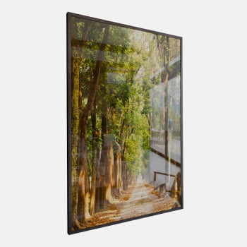 QUADRO CAMINHO ILUMINADO NA FLORESTA QUADRO CAMINHO ILUMINADO NA FLORESTA