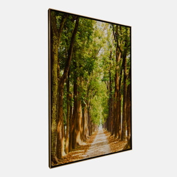 QUADRO CAMINHO ILUMINADO NA FLORESTA