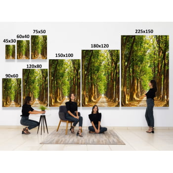 QUADRO CAMINHO ILUMINADO NA FLORESTA