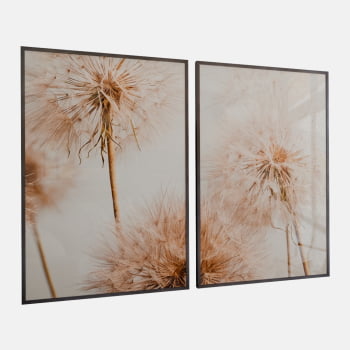 KIT 2 QUADROS DUO FLYING SEED PLANT