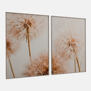 KIT 2 QUADROS DUO FLYING SEED PLANT