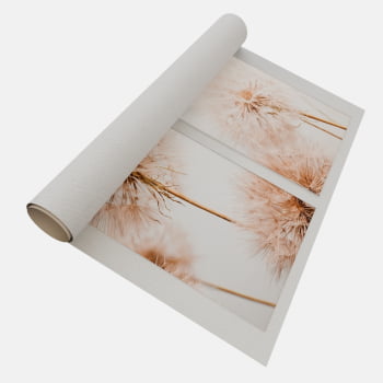 KIT 2 QUADROS DUO FLYING SEED PLANT