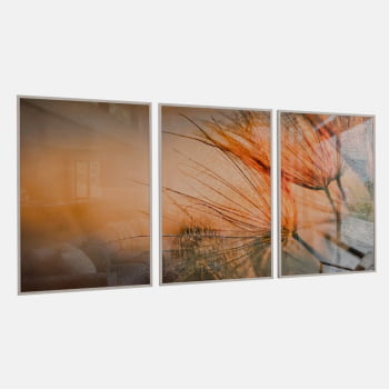 KIT 3 QUADROS DANDELION DOURADO