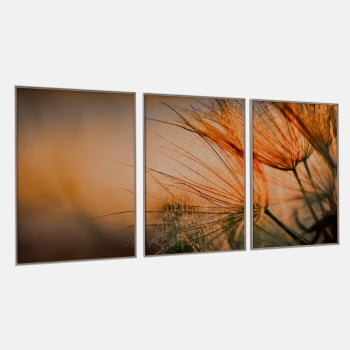 KIT 3 QUADROS DANDELION DOURADO