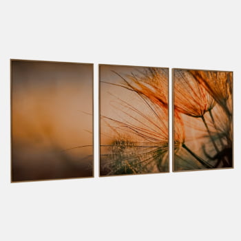 KIT 3 QUADROS DANDELION DOURADO