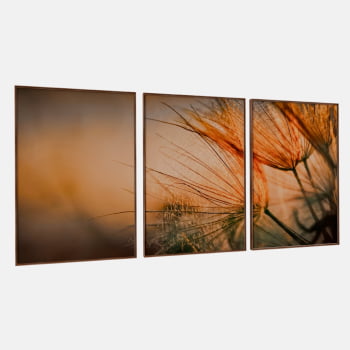 KIT 3 QUADROS DANDELION DOURADO