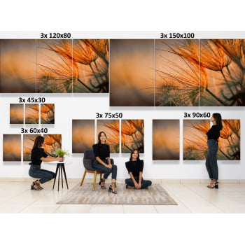 KIT 3 QUADROS DANDELION DOURADO