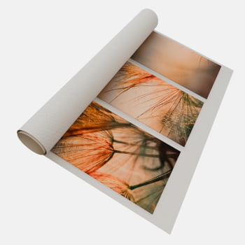 KIT 3 QUADROS DANDELION DOURADO