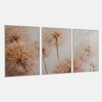 KIT 3 QUADROS  TRIO FLYING SEED PLANT