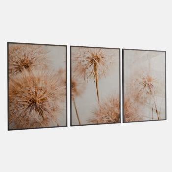 KIT 3 QUADROS  TRIO FLYING SEED PLANT