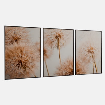 KIT 3 QUADROS  TRIO FLYING SEED PLANT