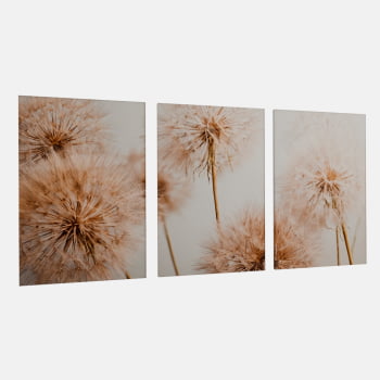 KIT 3 QUADROS  TRIO FLYING SEED PLANT