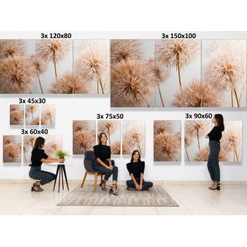 KIT 3 QUADROS  TRIO FLYING SEED PLANT