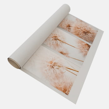 KIT 3 QUADROS  TRIO FLYING SEED PLANT