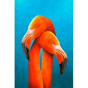 Quadro Retangular - Flamingos