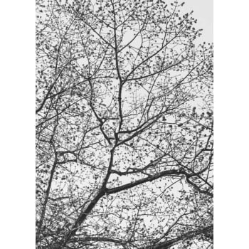 Quadro personalizado - Casa Mais-Galhos- Moldura Preta-150x100 cm 