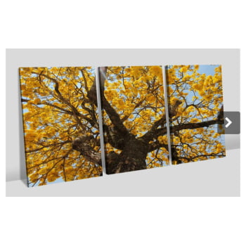 Quadro Personalizado -Keith- Trio Ipe-Moldura Preta- 3x75x50 Quadro Personalizado -Keith- Trio Ipe-Moldura Preta- 3x75x50